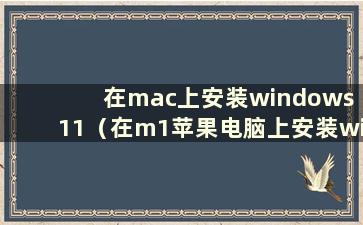 在mac上安装windows 11（在m1苹果电脑上安装windows）